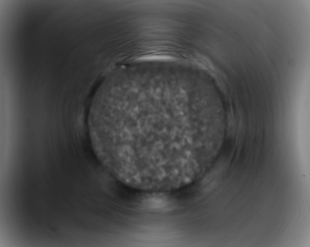 X0000089740377200707121511