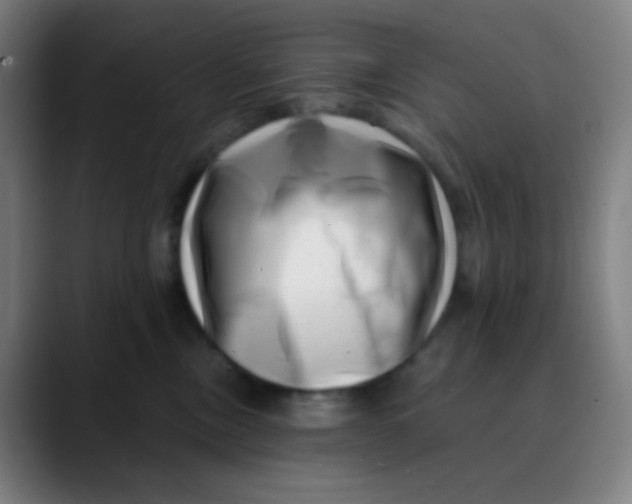 X0000089740378200707121511