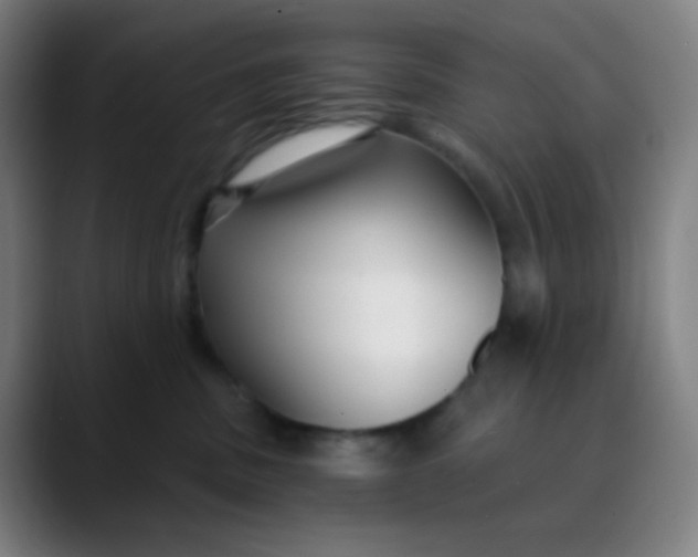 X0000089740379200707121511