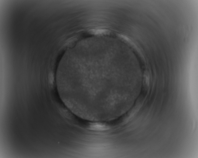 X0000089740380200707121511