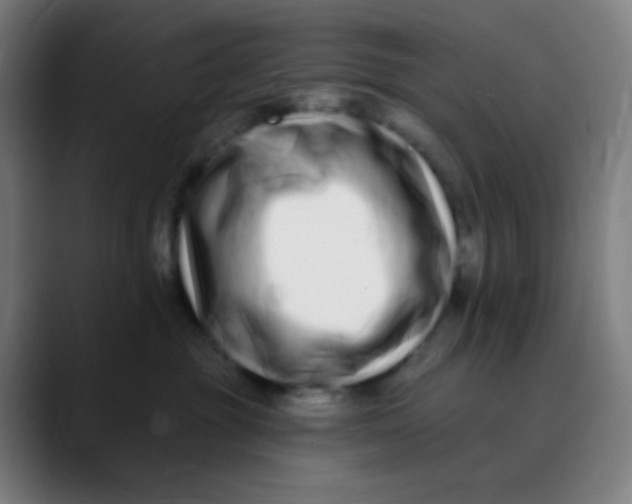 X0000089740381200707121511