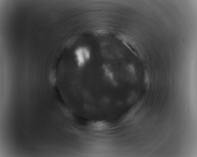 X0000089740383200707121512