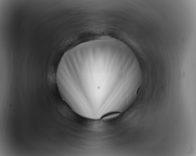 X0000089740384200707121512