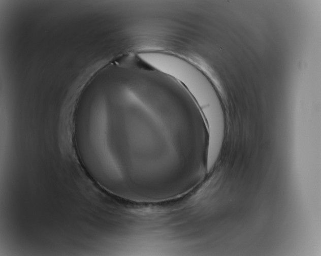 X0000089740385200707121511