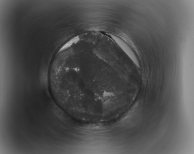 X0000089740386200707121511