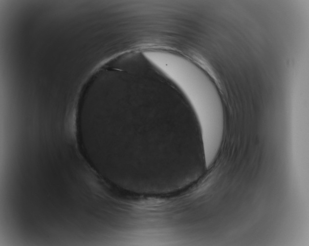 X0000089740387200707121511