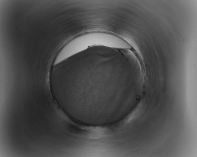 X0000089740389200707121511