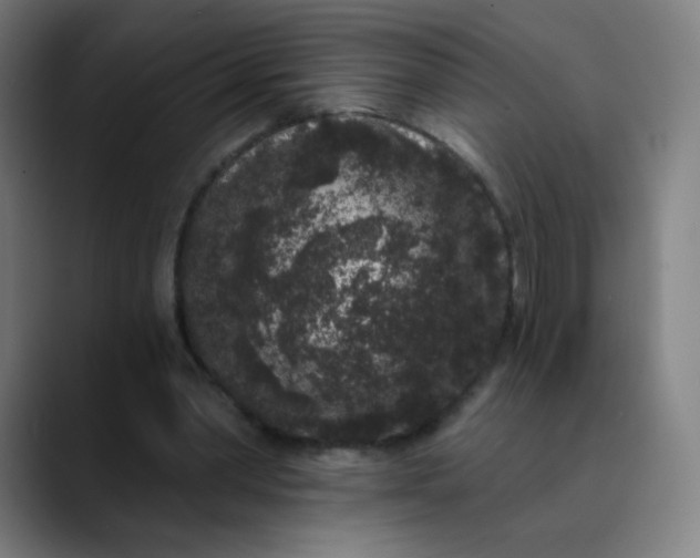 X0000089740390200707121511