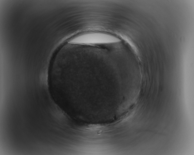 X0000089740391200707121511