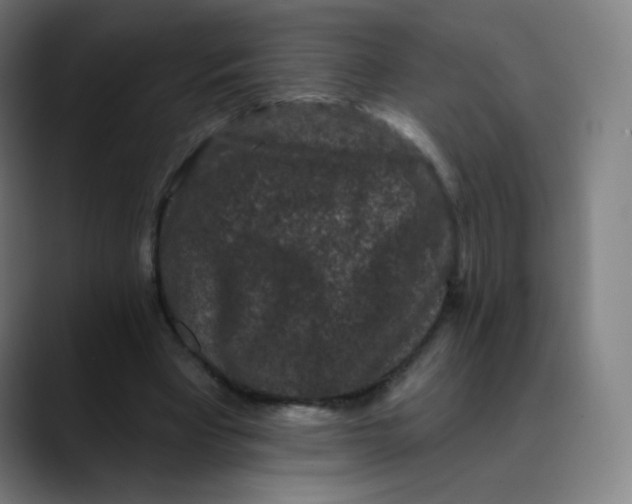 X0000089740393200707121511