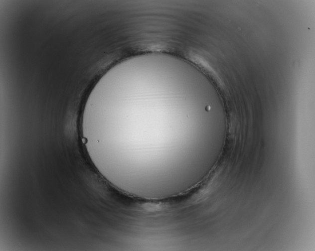 X0000089740394200707121511