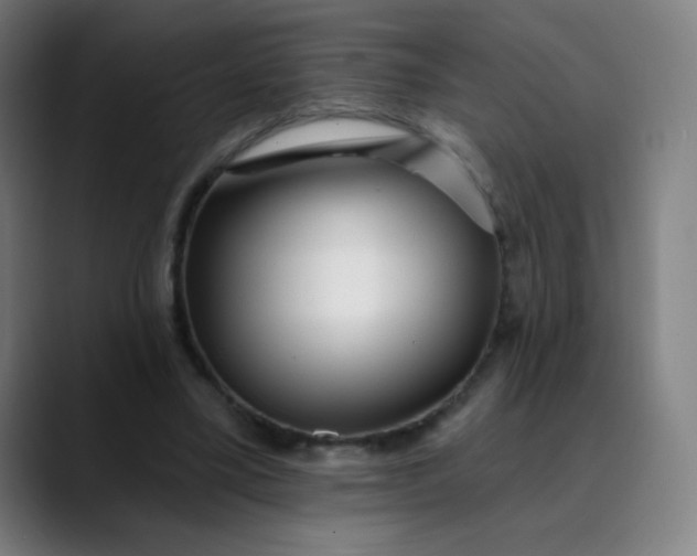 X0000089740395200707121511