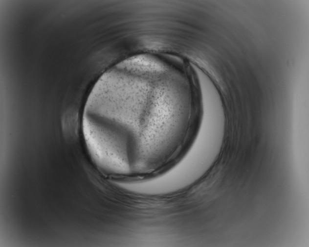 X0000089740397200707121511