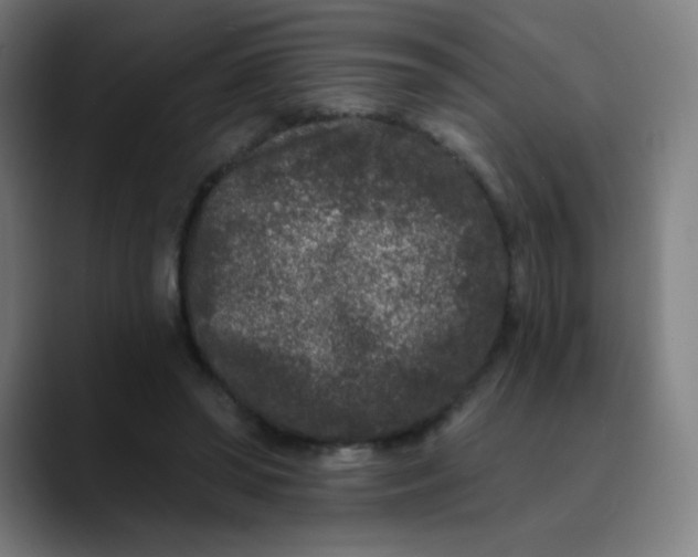 X0000089740398200707121511