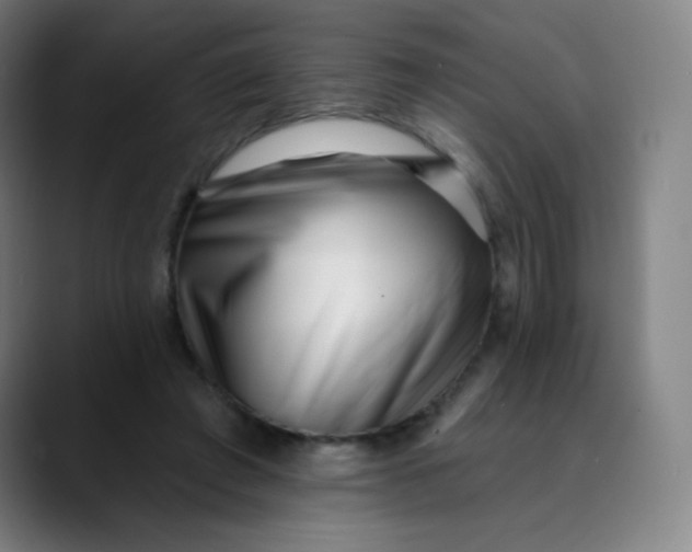 X0000089740401200707121511