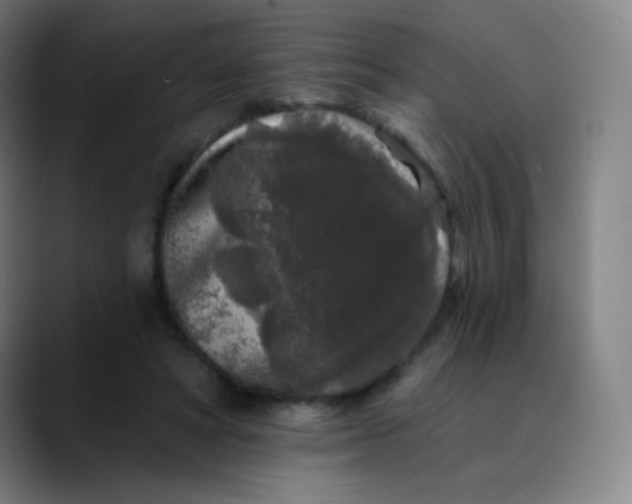 X0000089740402200707121511