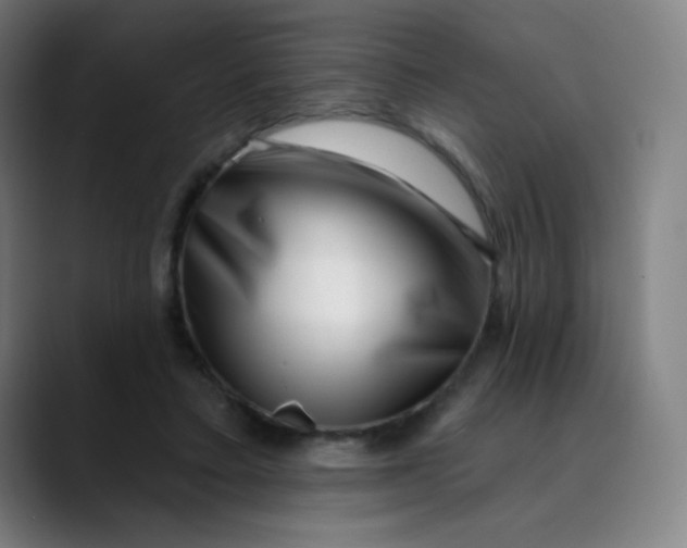 X0000089740403200707121511