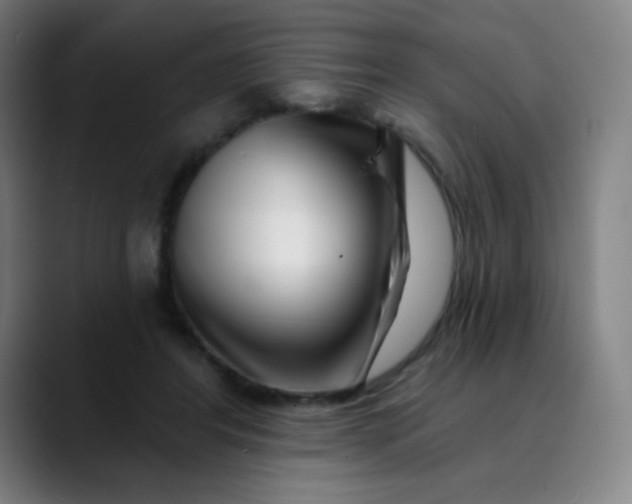 X0000089740404200707121511