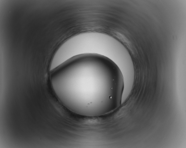 X0000089740405200707121511