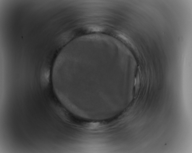 X0000089740406200707121511