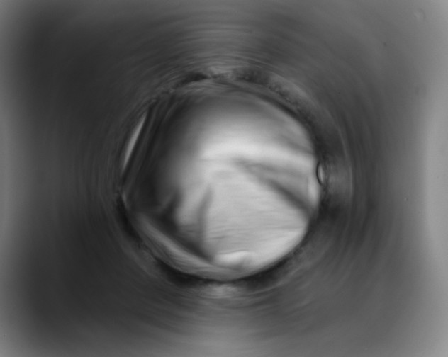 X0000089740408200707121511