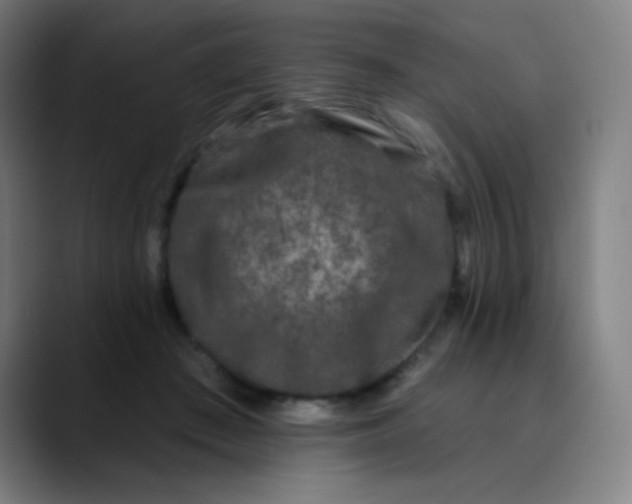 X0000089740409200707121511