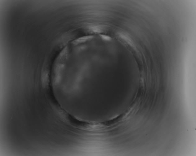 X0000089740410200707121511