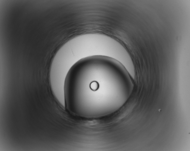 X0000089740411200707121511