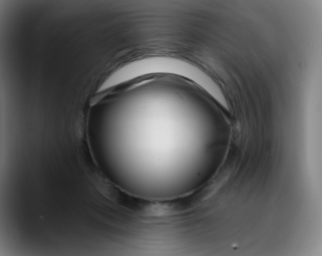 X0000089740413200707121511