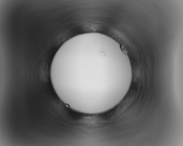 X0000089740414200707121511