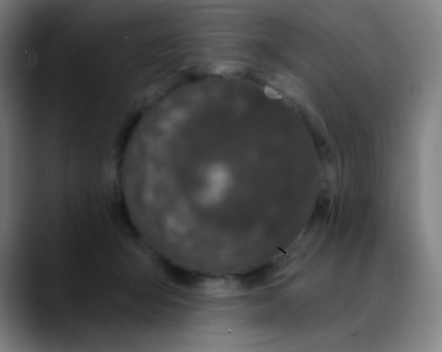 X0000089740415200707121511