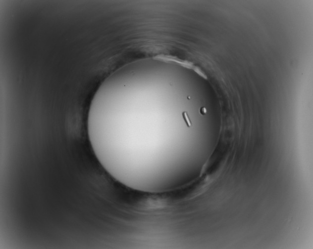 X0000089740416200707121511