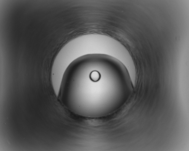 X0000089740417200707121511