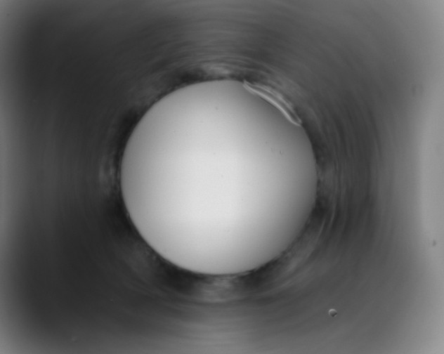 X0000089740418200707121511