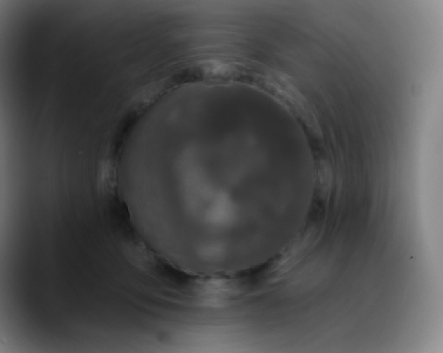 X0000089740419200707121511