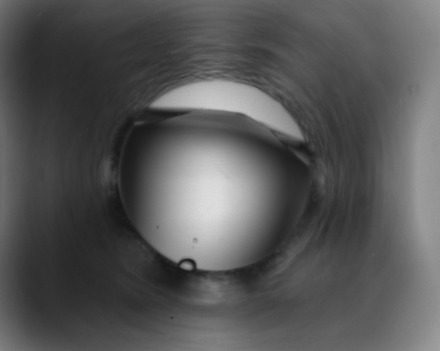 X0000089740420200707121511