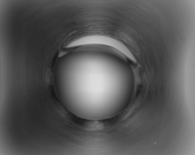 X0000089740421200707121511