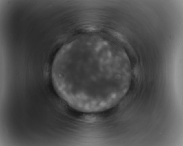 X0000089740423200707121511