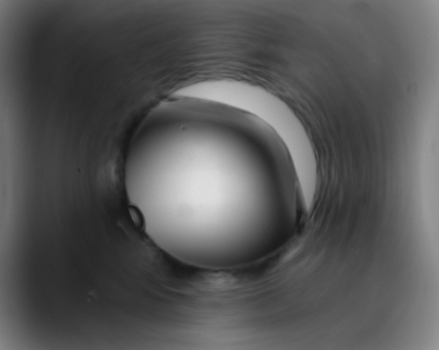 X0000089740424200707121511