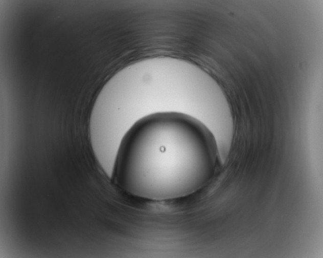 X0000089740425200707121511