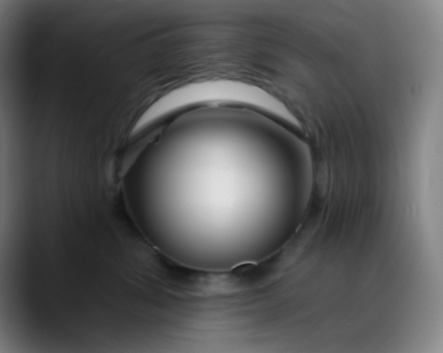 X0000089740428200707121510