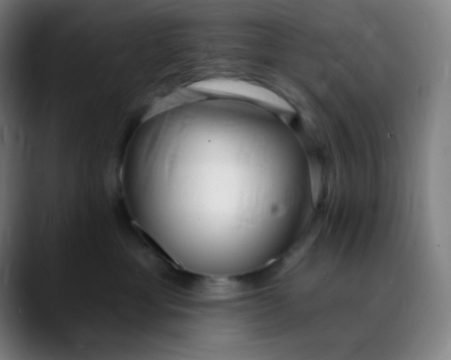 X0000089740429200707121510