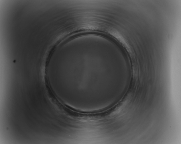 X0000089740434200707121510