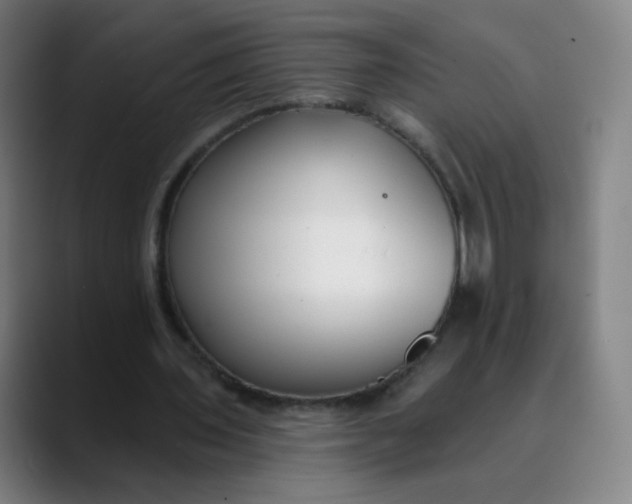 X0000089740435200707121510