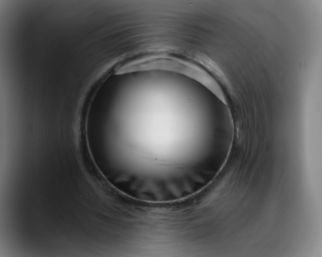 X0000089740436200707121510