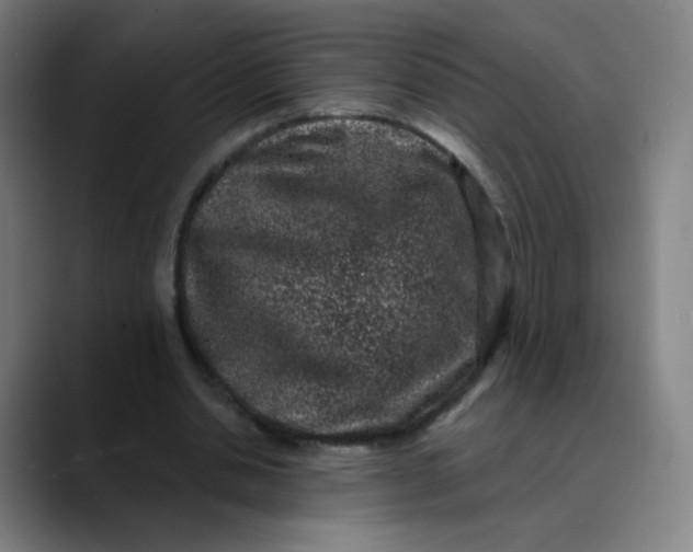 X0000089740438200707121510