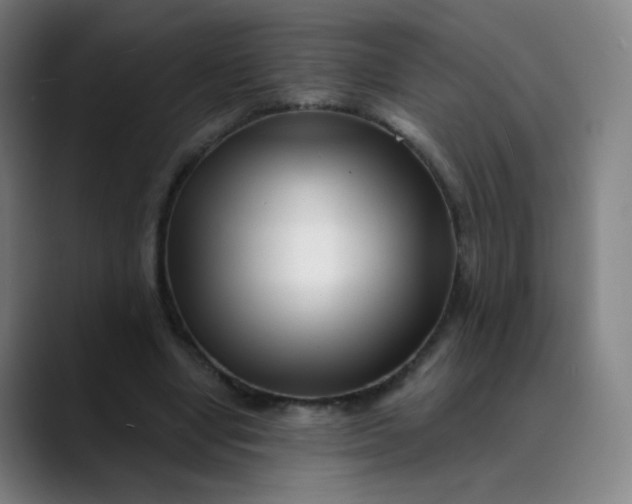 X0000089740442200707121510