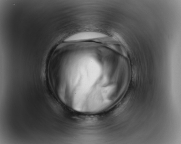 X0000089740443200707121510