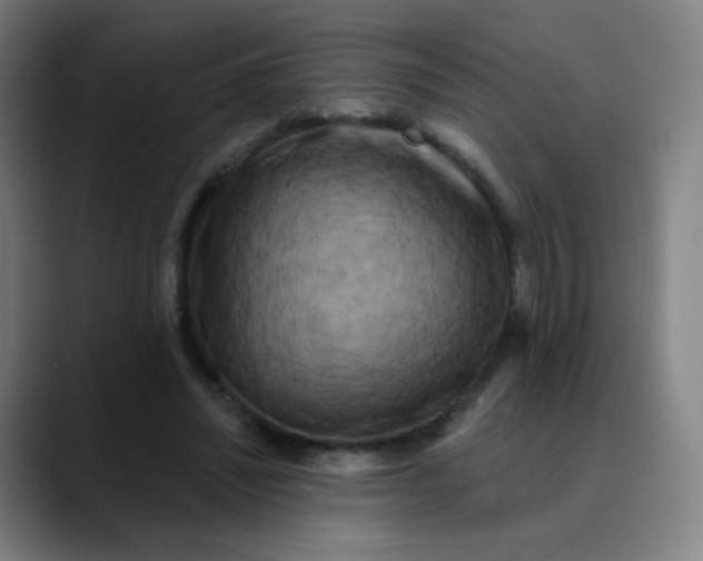 X0000089740444200707121510