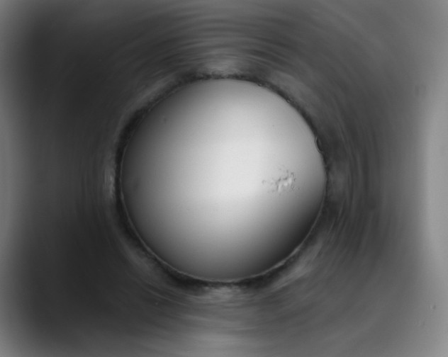 X0000089740446200707121510